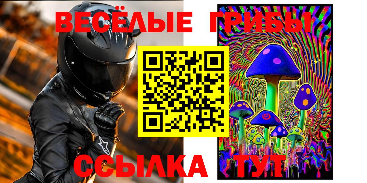 Псилоцибиновые грибы Psilocybine cubensis  Вход с VPN  даркнет сайт  Зерноград 